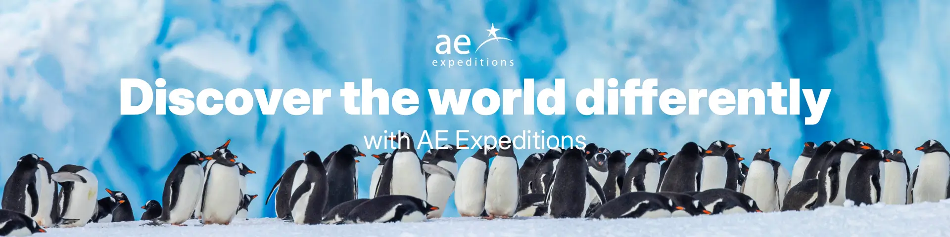 AE Expeditions